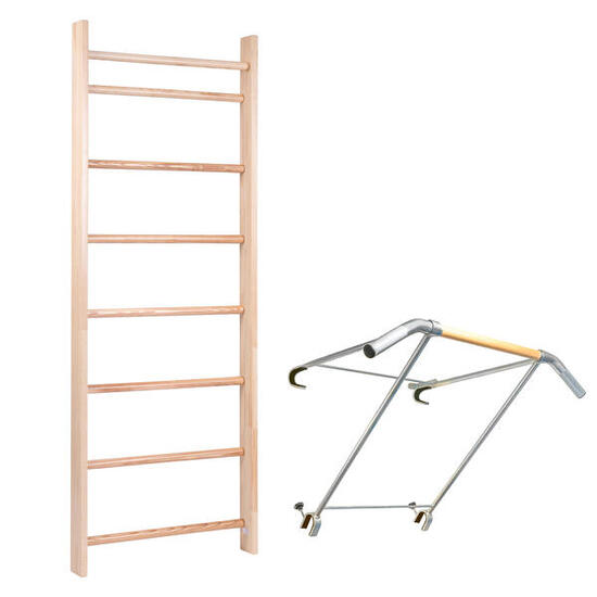 Sprossenwand mit Klimmzugbügel Profi Sprossenwand 210x80 cm Turnen