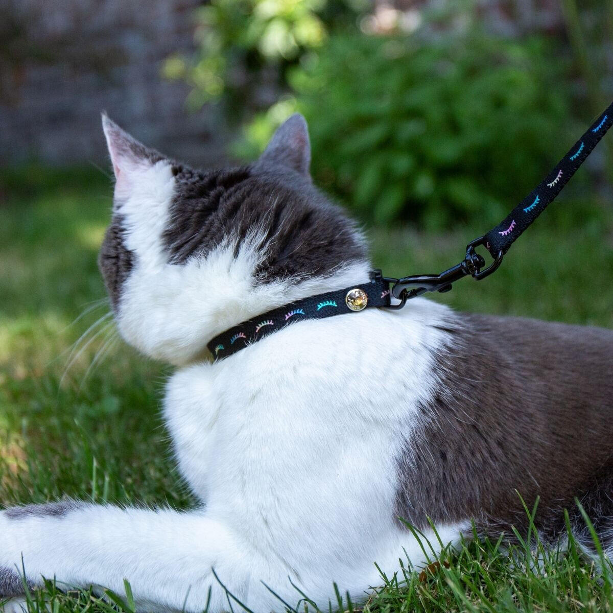 Halsband für Katzen Martin Sellier Dodo 3/3