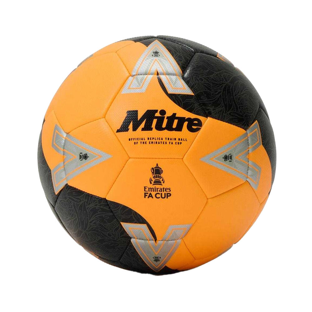 MITRE picture