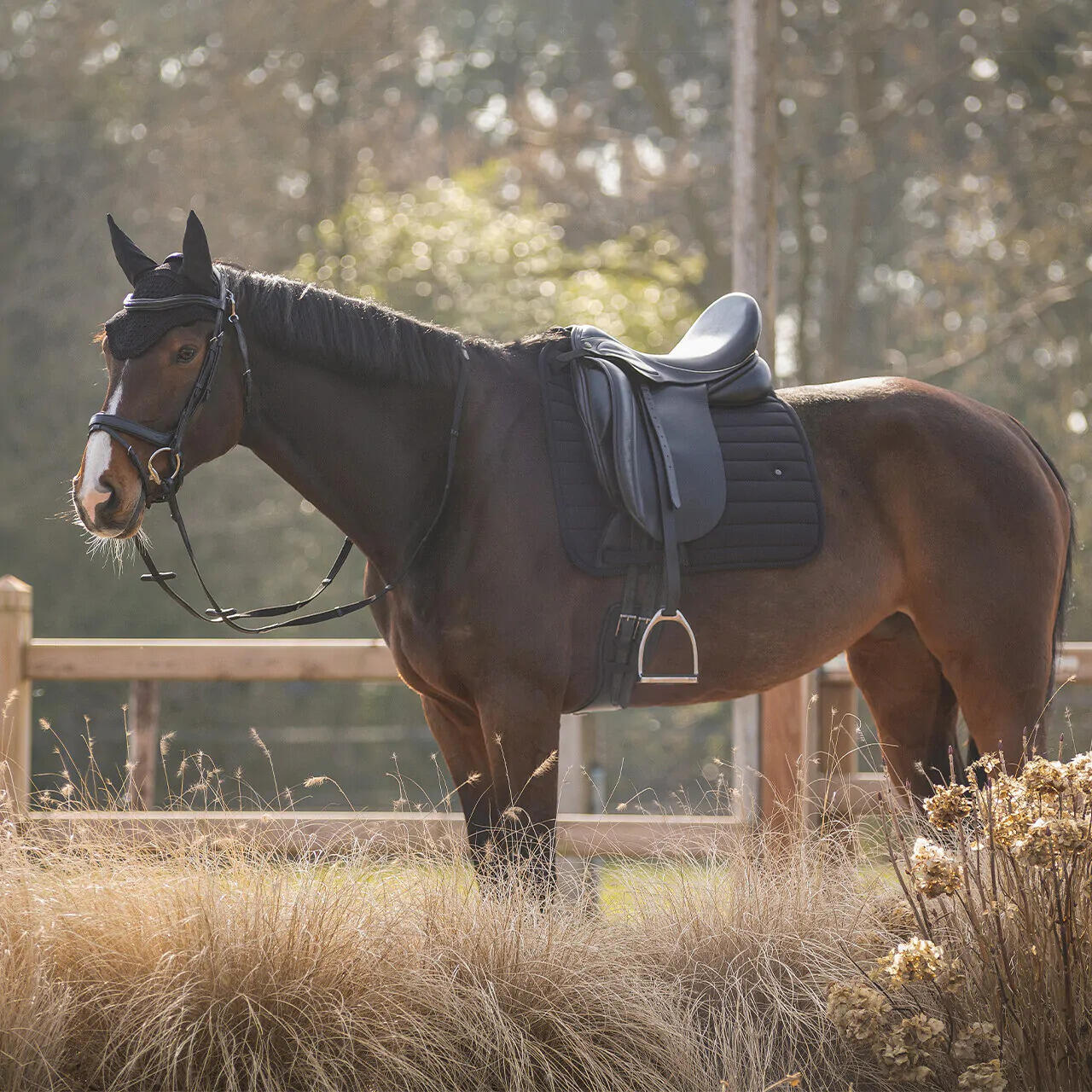 Tapis de dressage QHP Salerno 3/7
