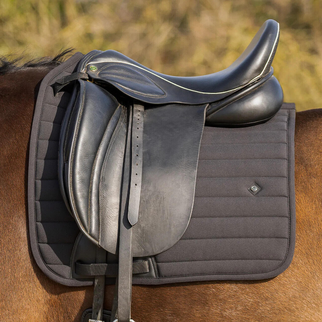 Tapis de dressage QHP Salerno 6/7