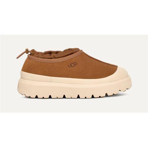 Scarpe  Tasman Weather Hybrid Slipper Chestnut Whitecap 5/5