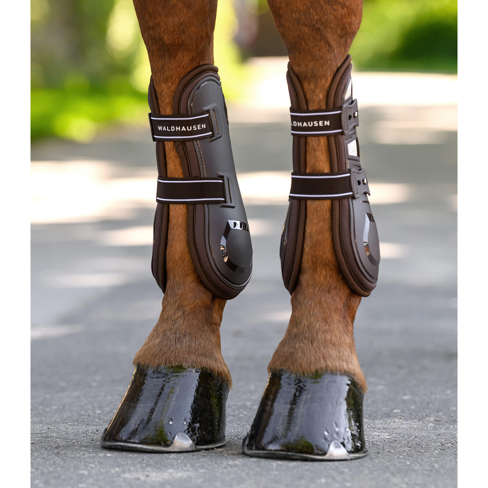 Botas de protección abiertas para caballos Waldhausen Memory Foam Pro 5/5