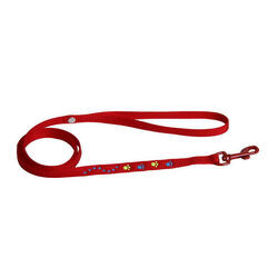 Laisse pour chien nylon Martin Sellier