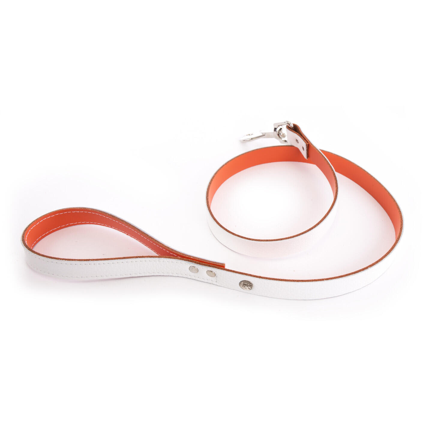 Laisse pour chien Martin Sellier Allure T100 1/1
