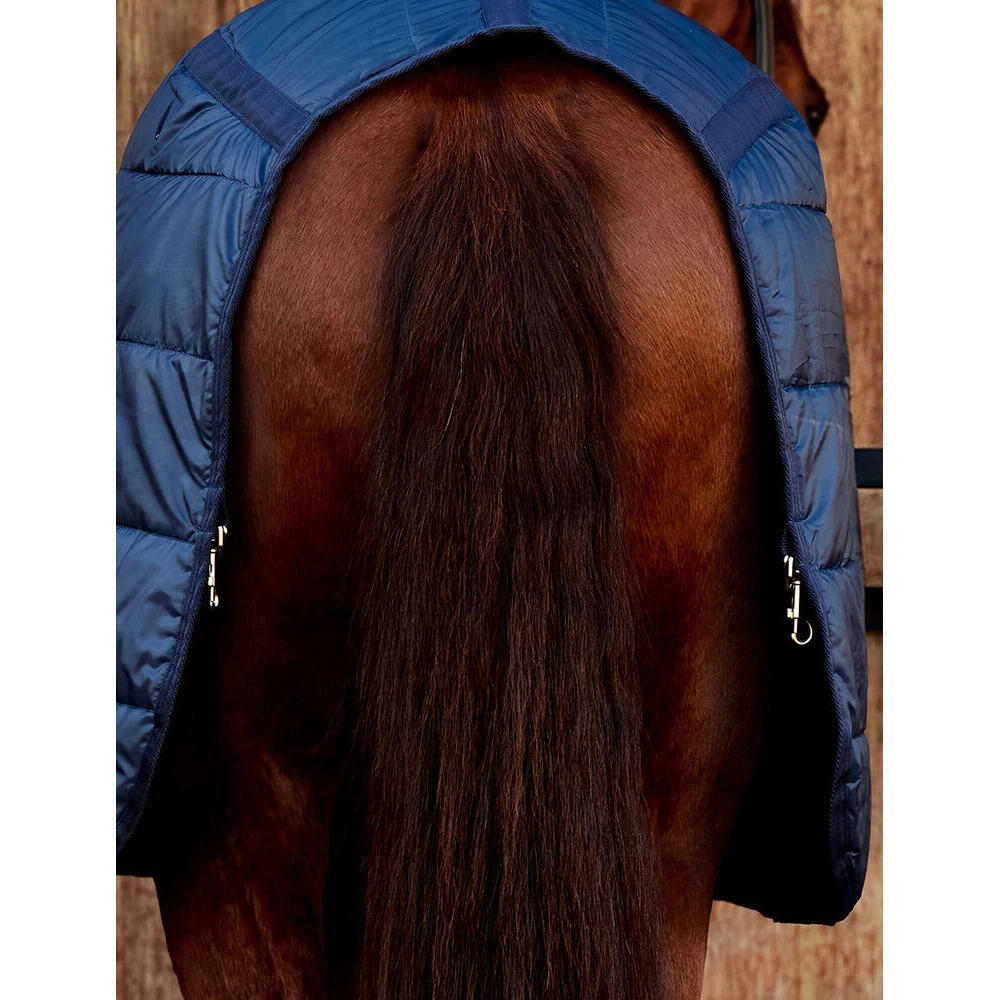 Cubierta para caballos Weatherbeeta Comfitec 100g 3/5