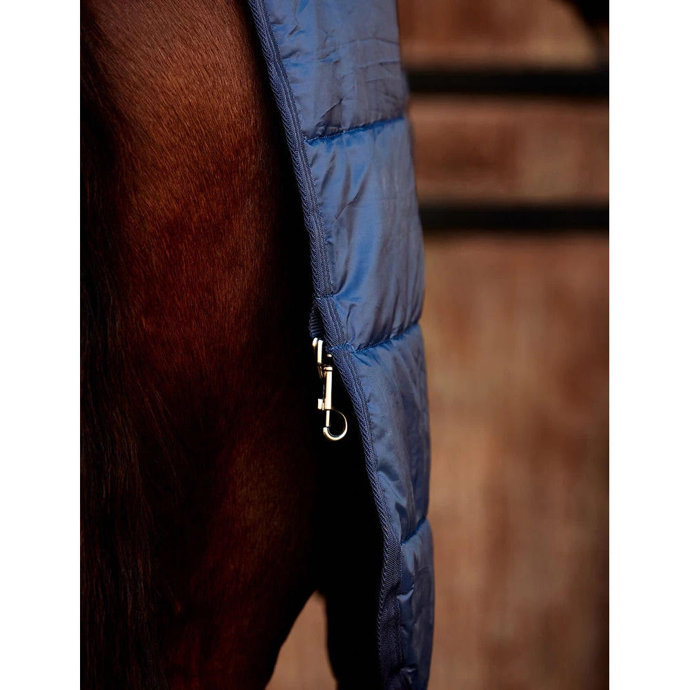 Cubierta para caballos Weatherbeeta Comfitec 100g 2/5