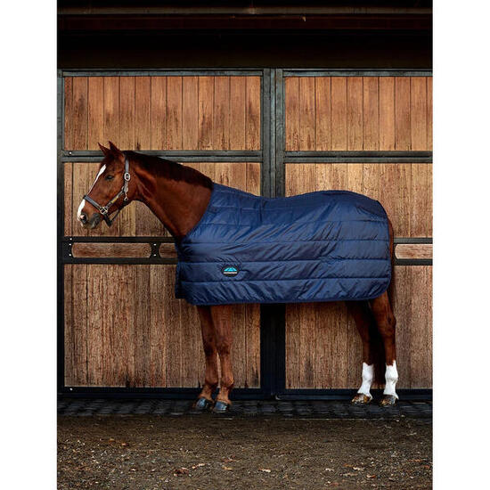 Sous-couverture pour cheval Weatherbeeta Comfitec 100g