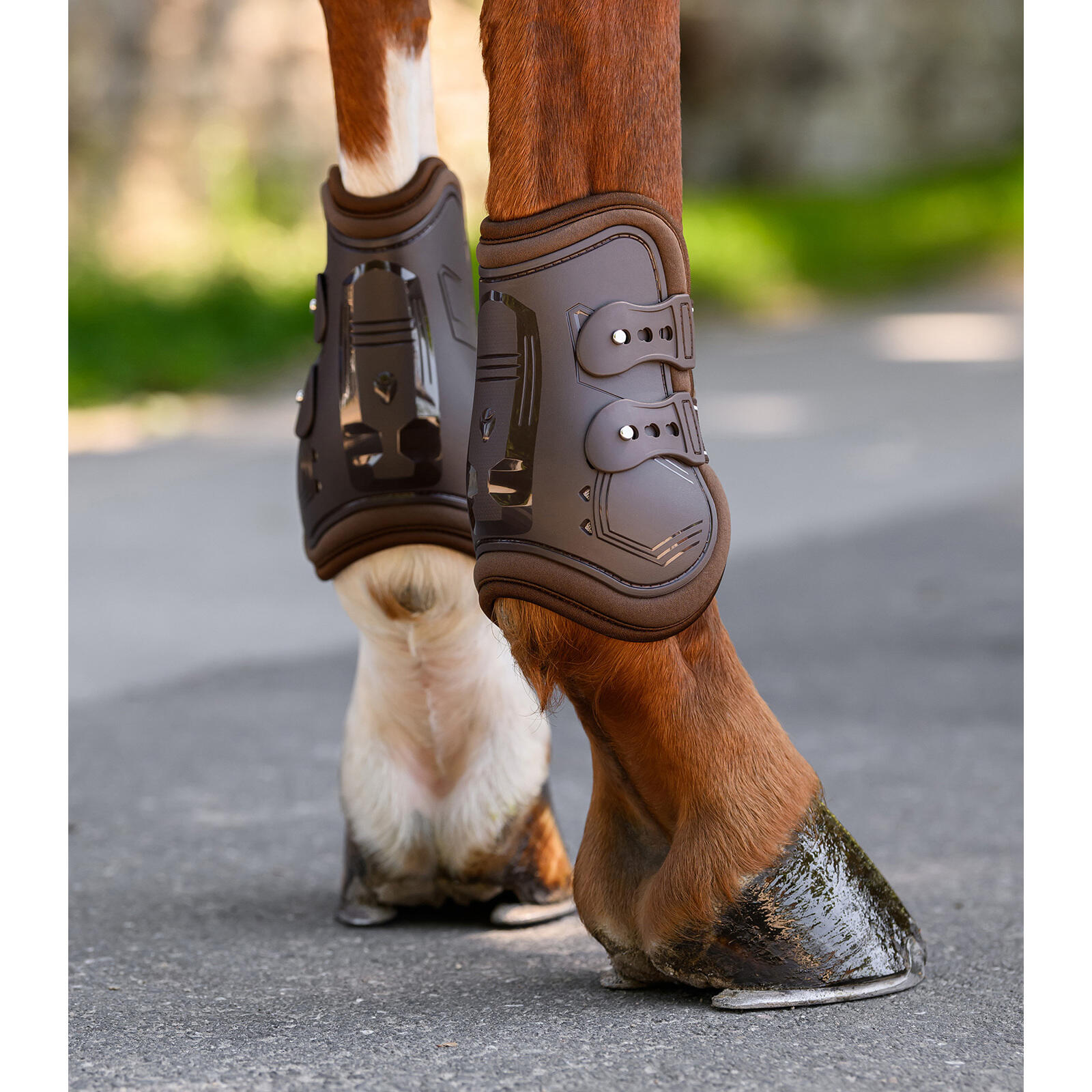 Guêtres ouvertes pour cheval avec protège-boulets Waldhausen Memory Foam Pro 4/4