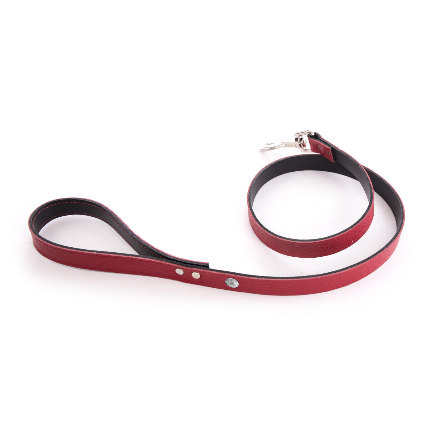 Laisse pour chien Martin Sellier Allure T100 1/1