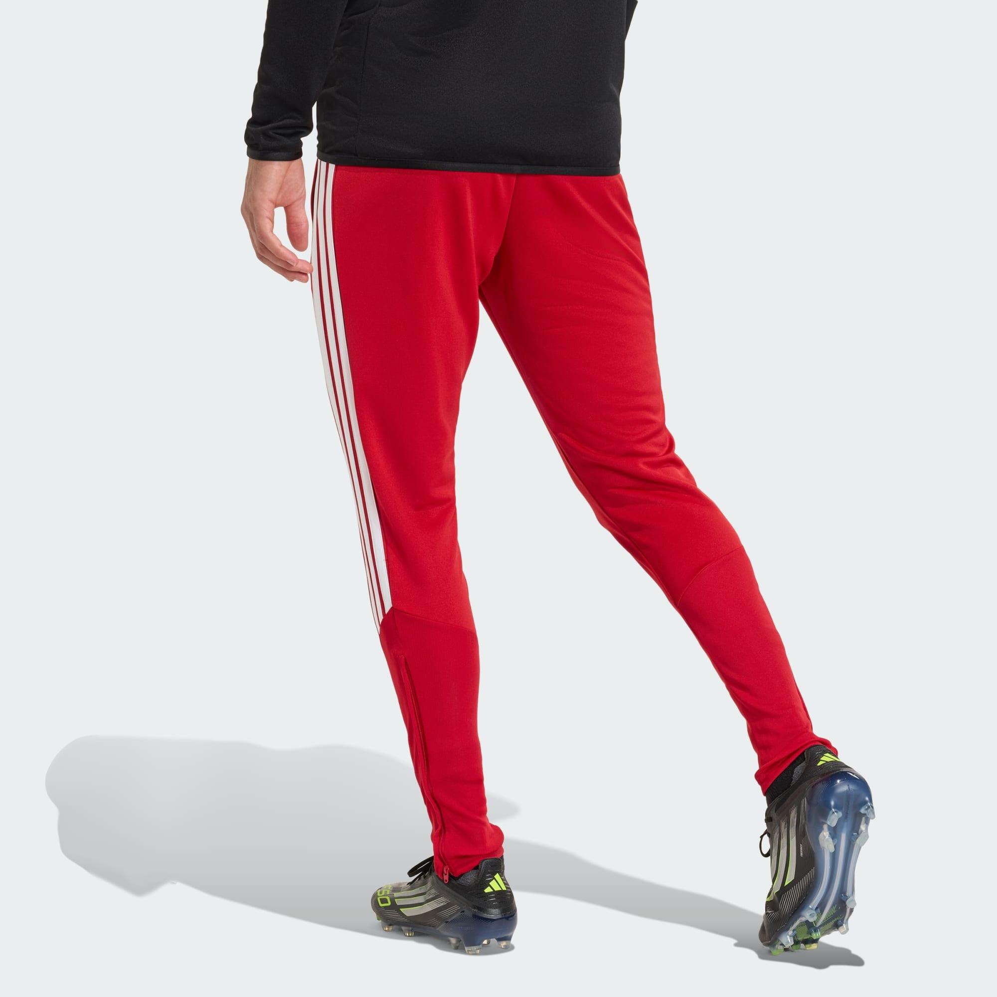Pantalon de training standard Tiro26 League 3/5