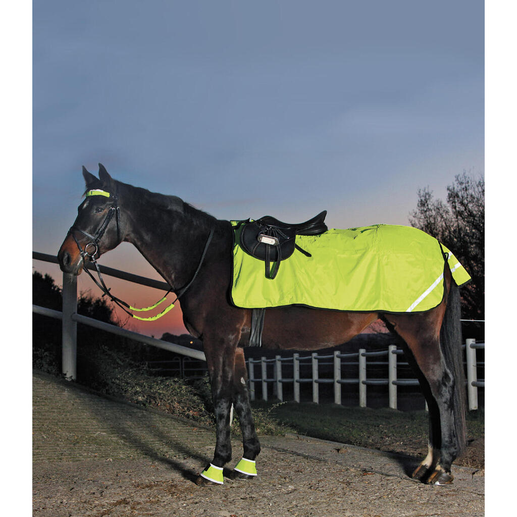 Hindquarters Cover Waldhausen Reflex