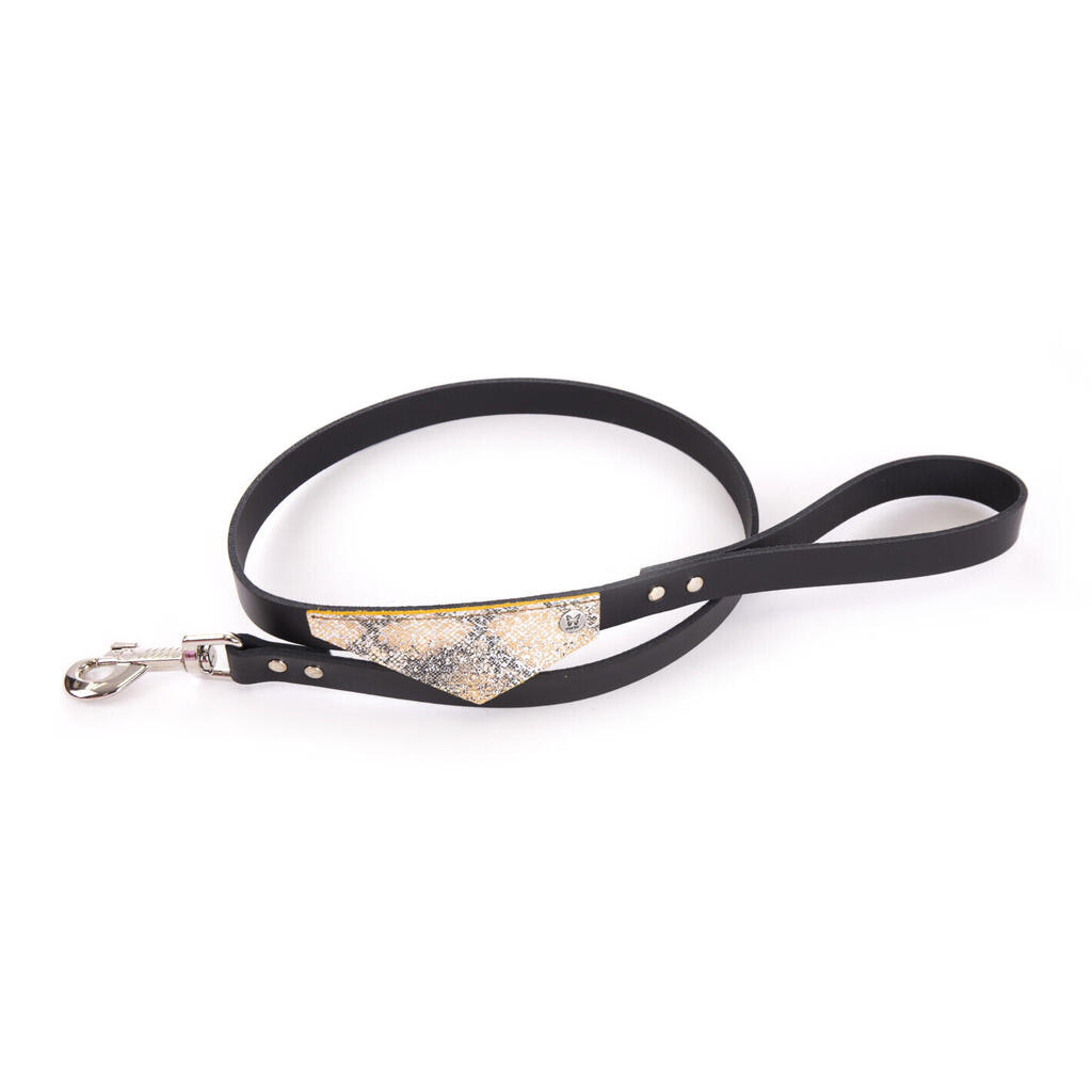 Dog leash Martin Sellier Malibu