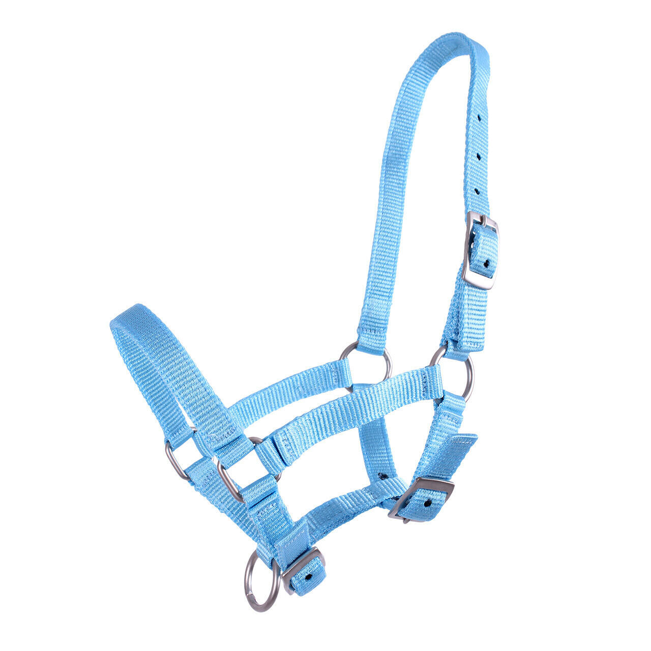 Licol pour poulain Q-essentials 1/1