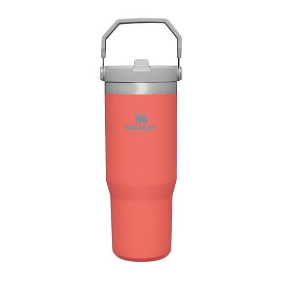 Trinkflasche mit strohhalm 0,89L Thermosflasche Fitness Wasserflasche Edelstahl