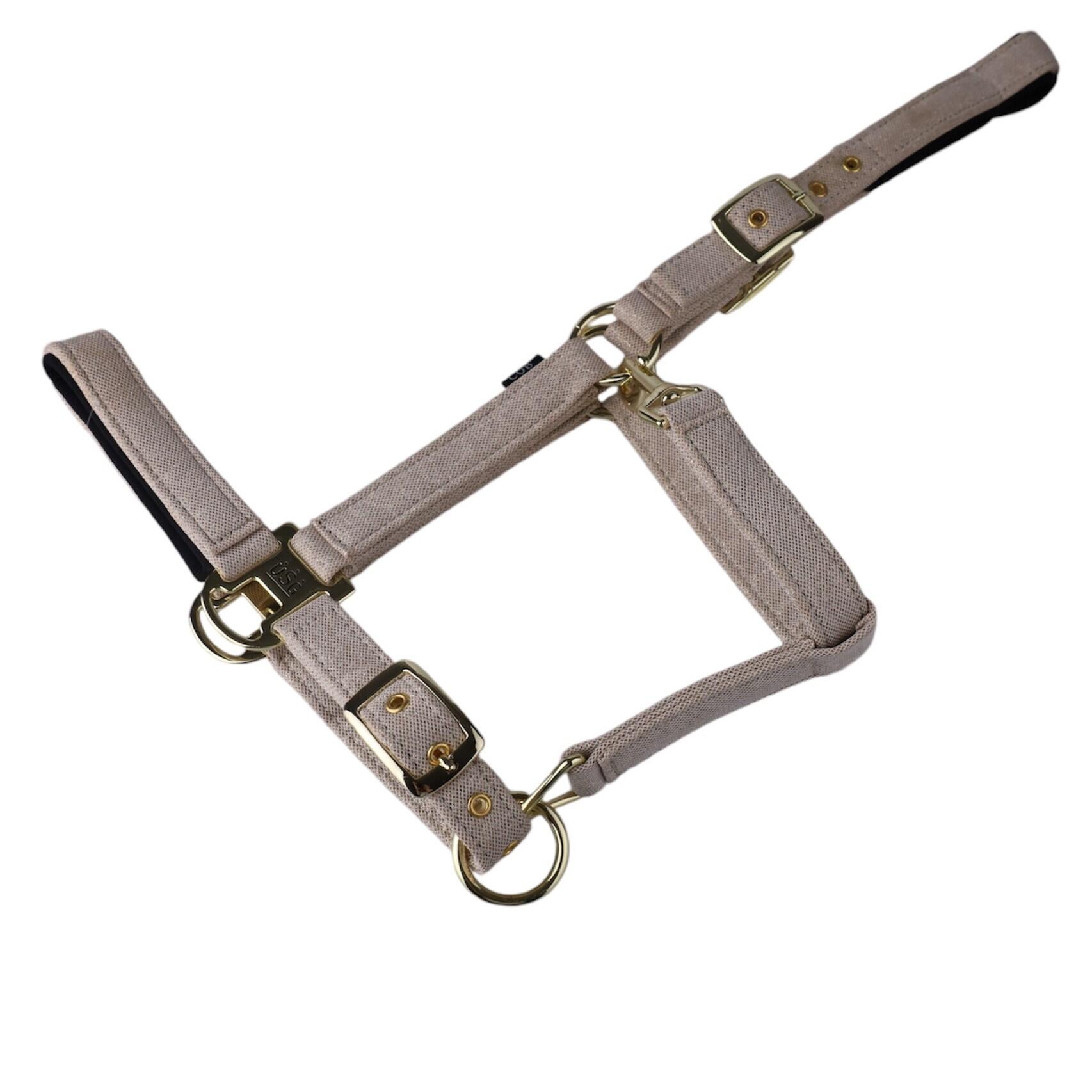 Halfter für Pferd Onyx Onyx 2/5