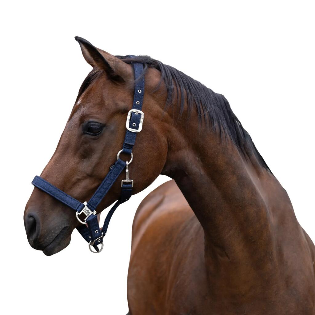 Halter for horse Onyx Onyx