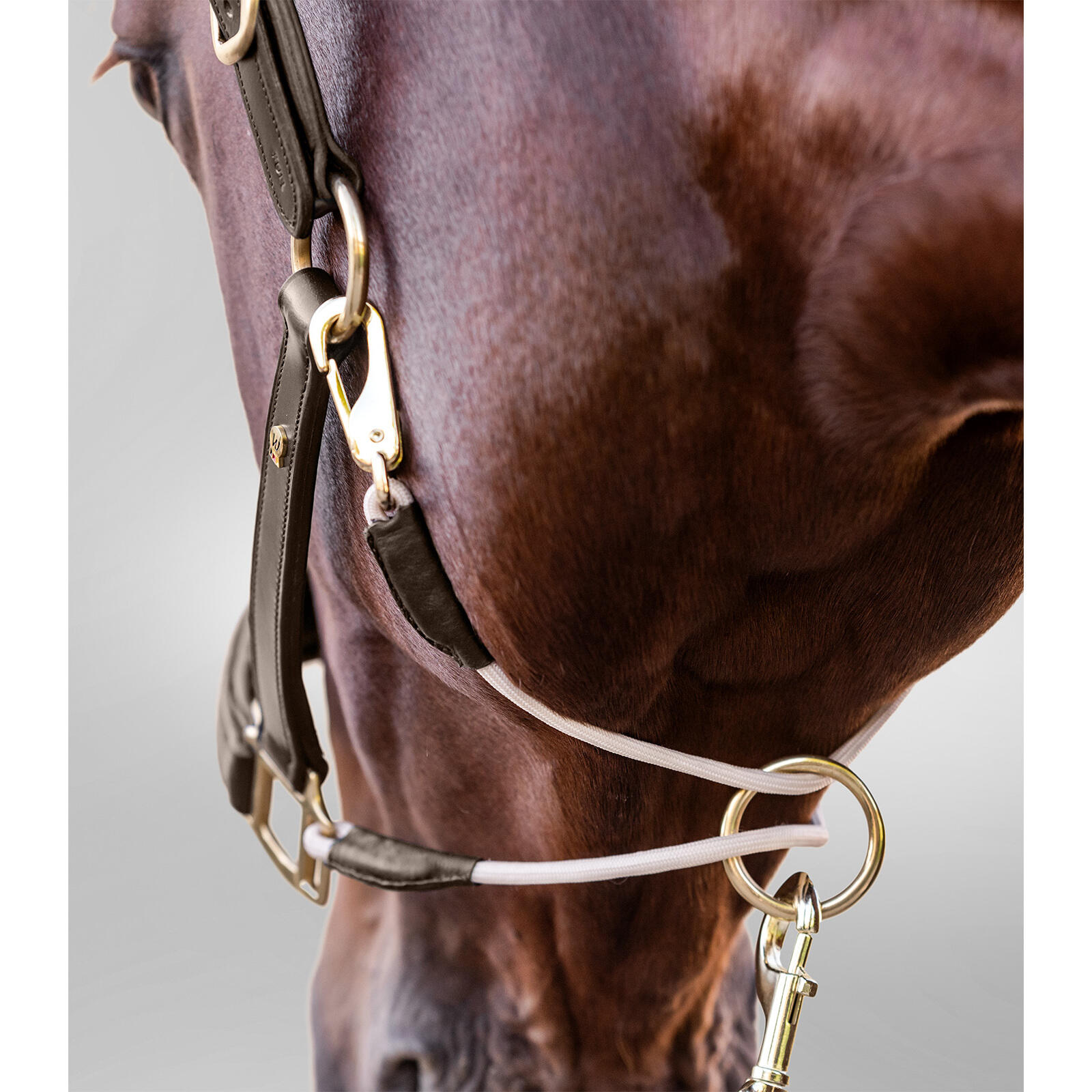 Licol pour cheval en cuir Waldhausen S-Line Royal 3/5