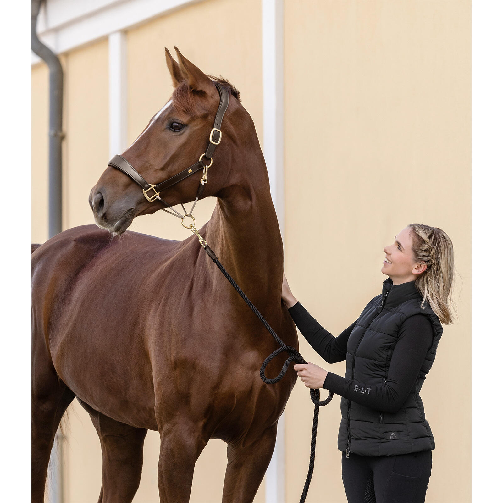 Licol pour cheval en cuir Waldhausen S-Line Royal 5/5