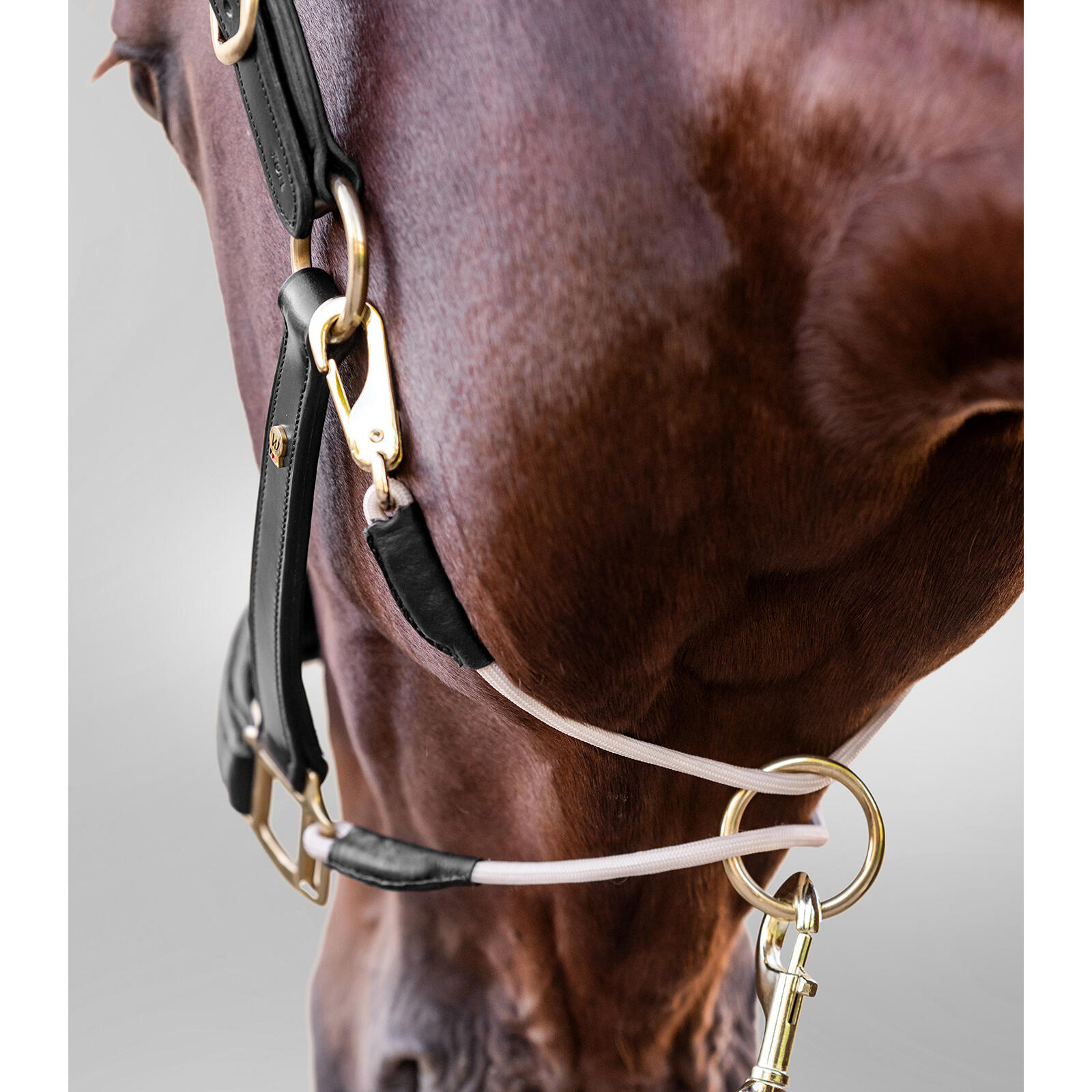 Cabestro de cuero para caballos Waldhausen S-Line Royal 3/5