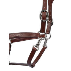 Licol pour cheval en cuir PS of Sweden Palermo