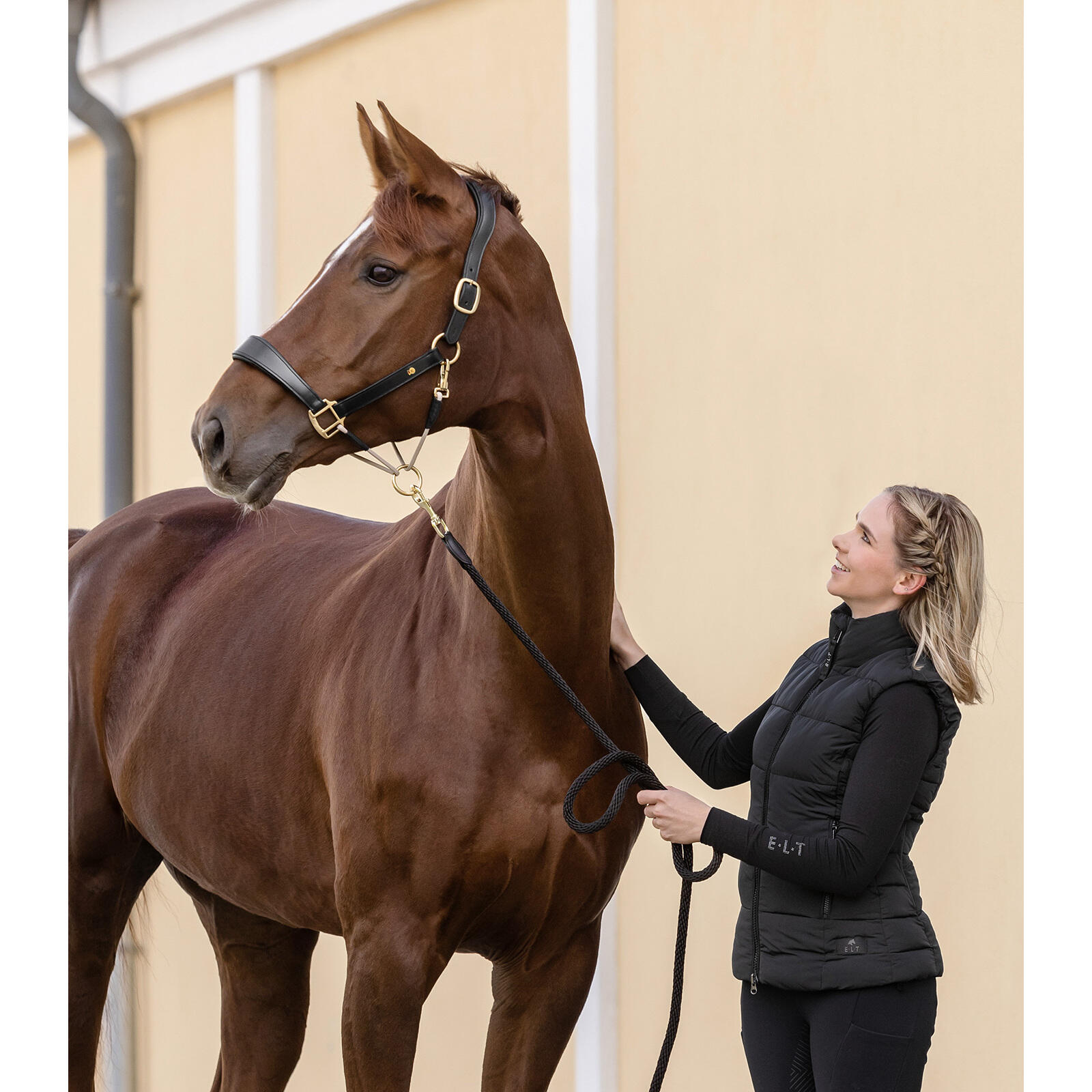 Cabestro de cuero para caballos Waldhausen S-Line Royal 5/5