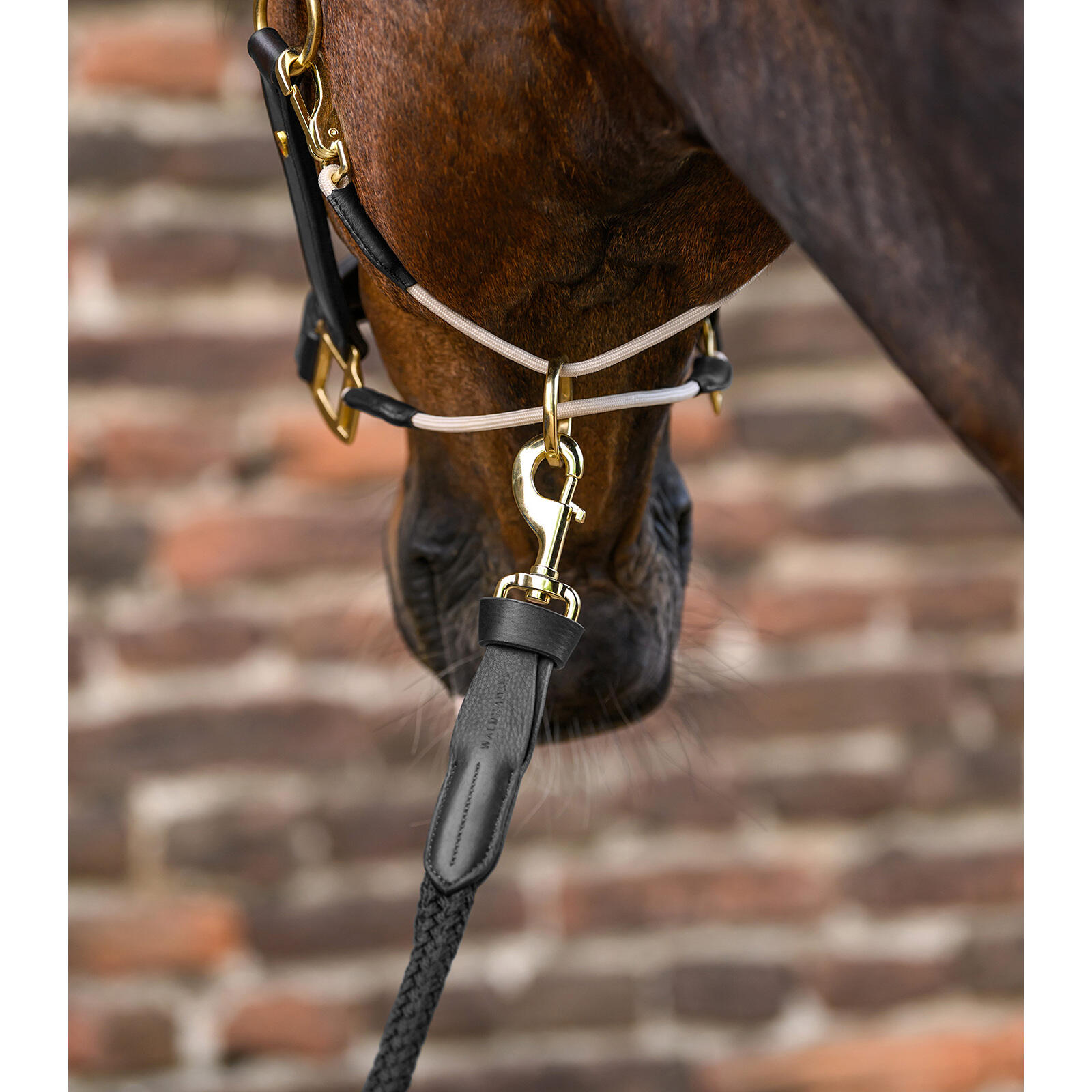 Cabestro de cuero para caballos Waldhausen S-Line Royal 4/5