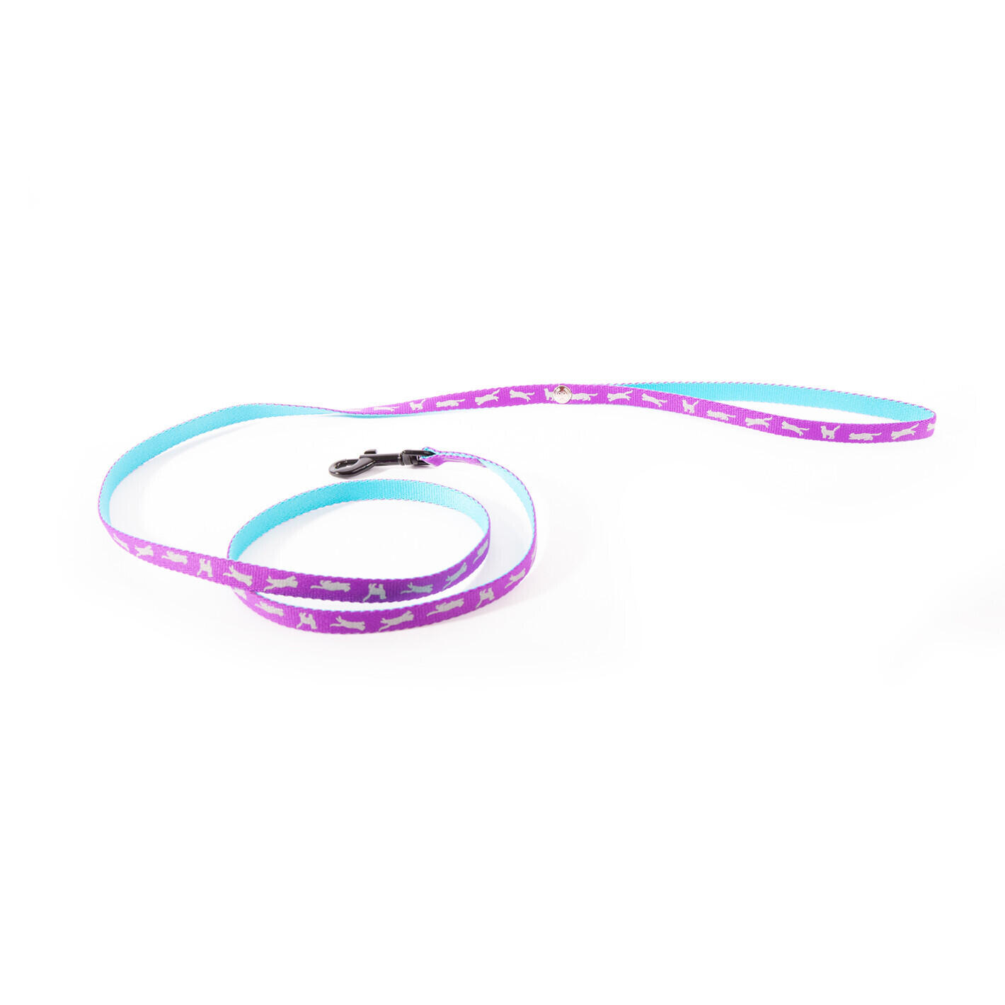 Nylon hondenriem Martin Sellier Cat Bico 3/4