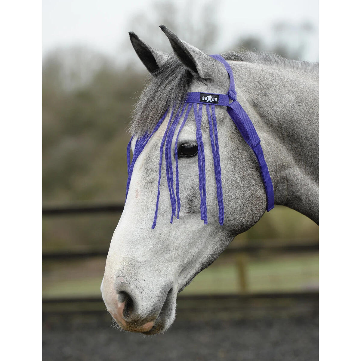 Licol pour cheval Saxon Fly Fringe 1/1