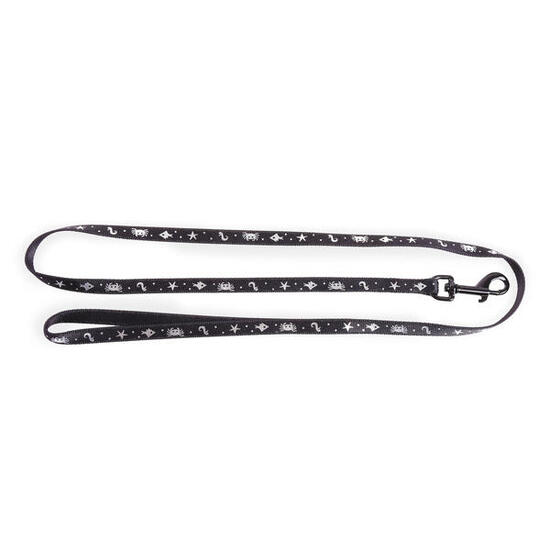 Laisse pour chien nylon Martin Sellier Ocean