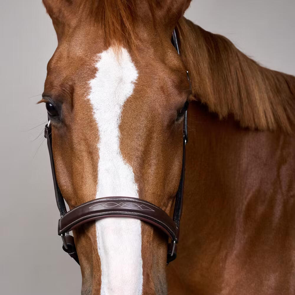 Cabestro de cuero para caballos Dy'on Fancy Working Collection 3/4