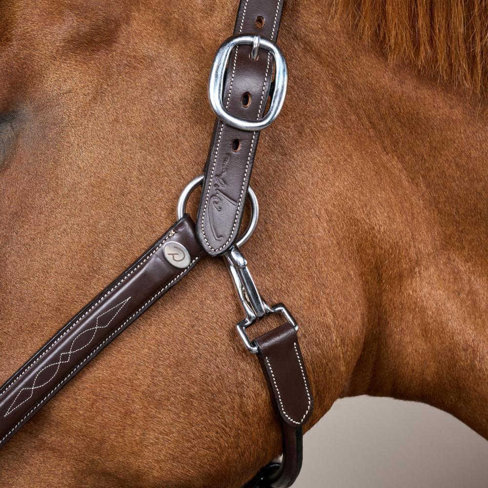 Licol pour cheval en cuir Dy'on Fancy Working Collection 1/4