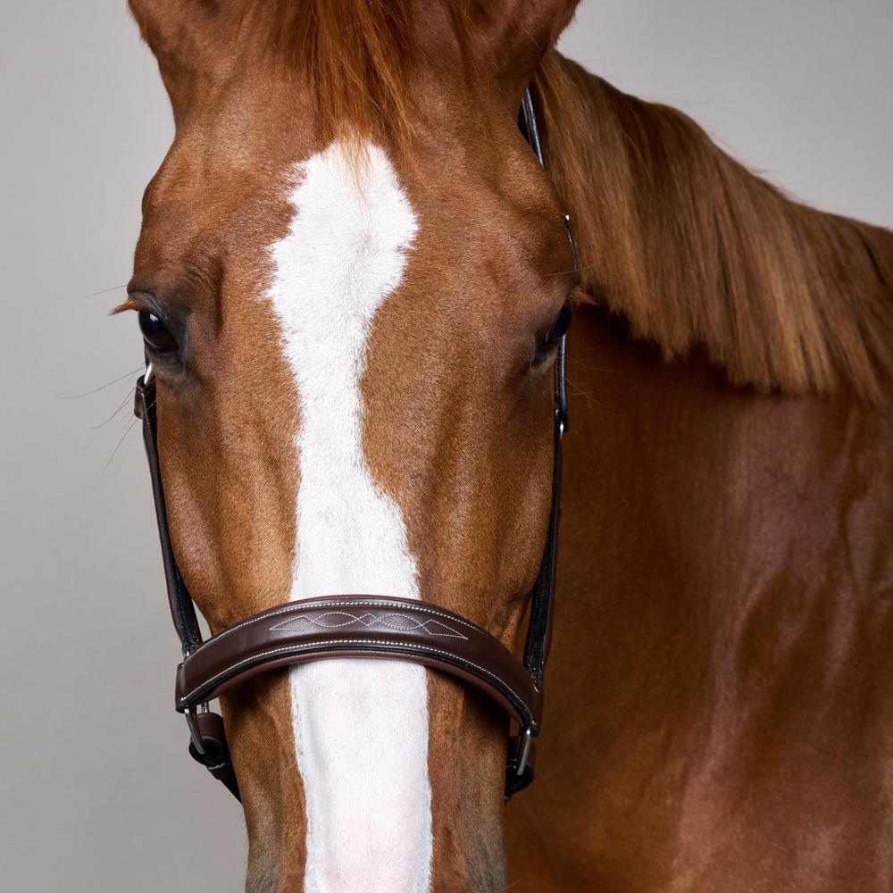 Licol pour cheval en cuir Dy'on Fancy Working Collection 4/4