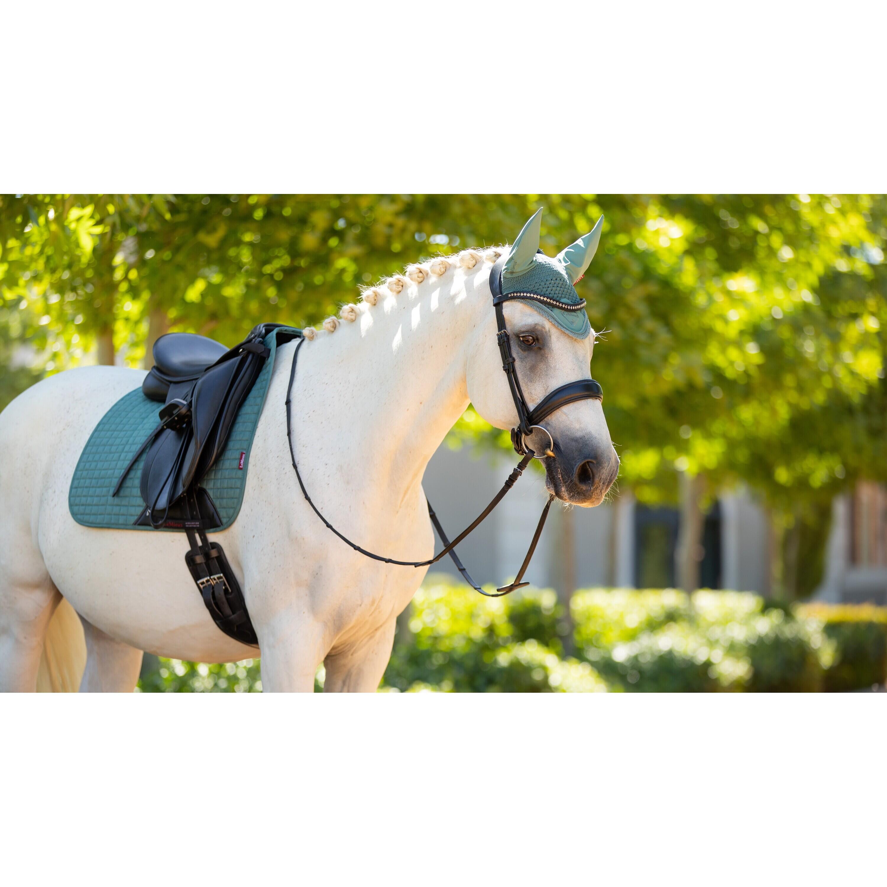 Dressurmatte für Pferde Wildleder LeMieux 2/3