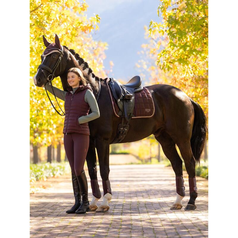 Pantalon D'équitation Anglais Femme – Neuf, Taille 28 Regular #5766 A-140