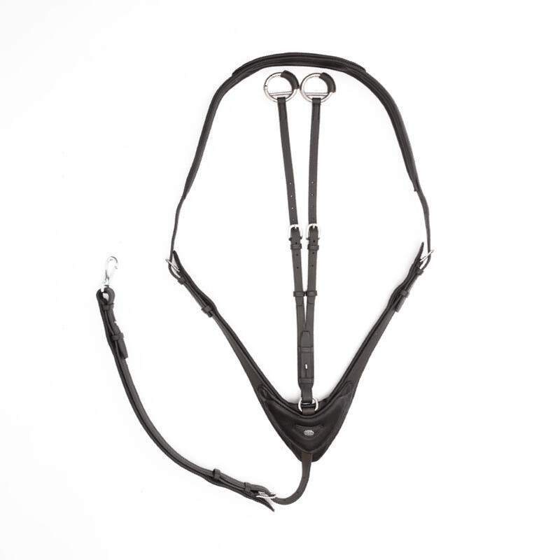 Soft padded martingale for horse Kavalkade Azriel