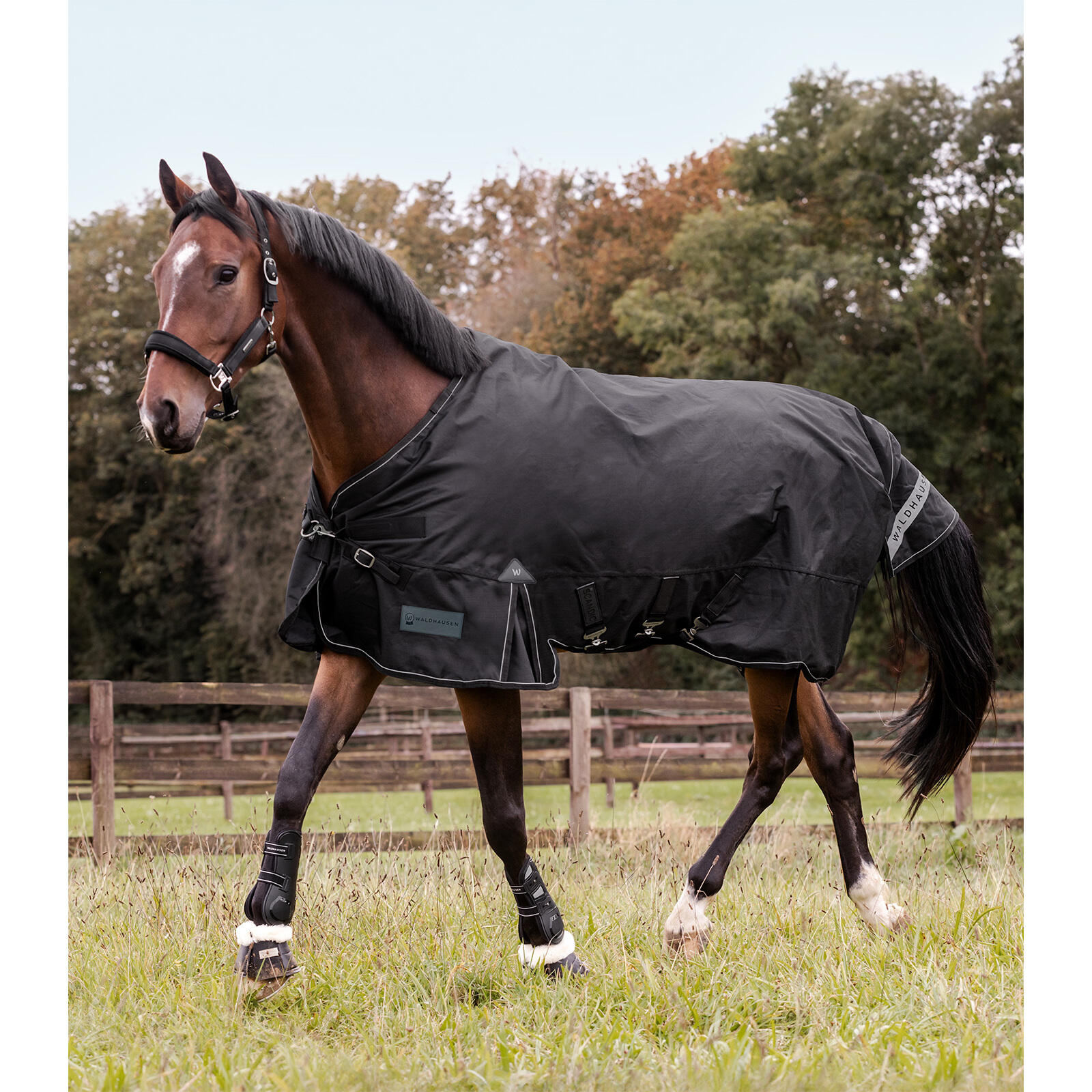 Sábana exterior multi-capa para caballo Waldhausen Scandic 150/50g 3/7