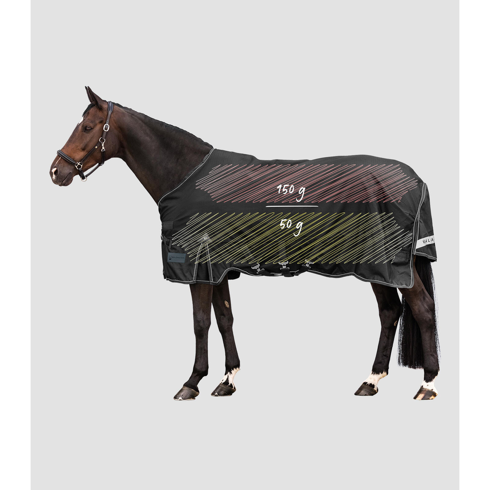 Sábana exterior multi-capa para caballo Waldhausen Scandic 150/50g 2/7