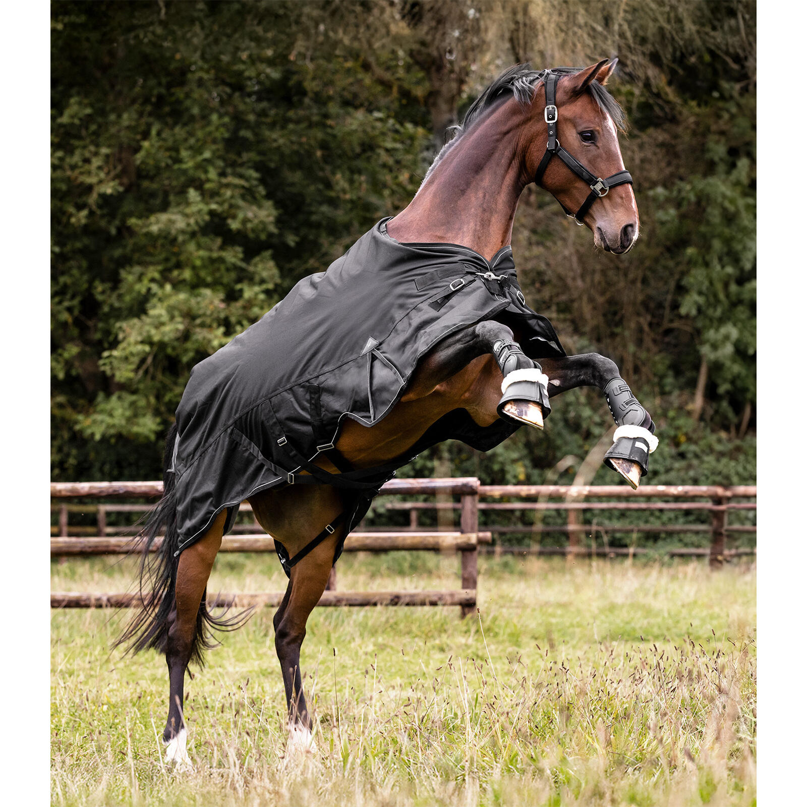 Sábana exterior multi-capa para caballo Waldhausen Scandic 150/50g 4/7