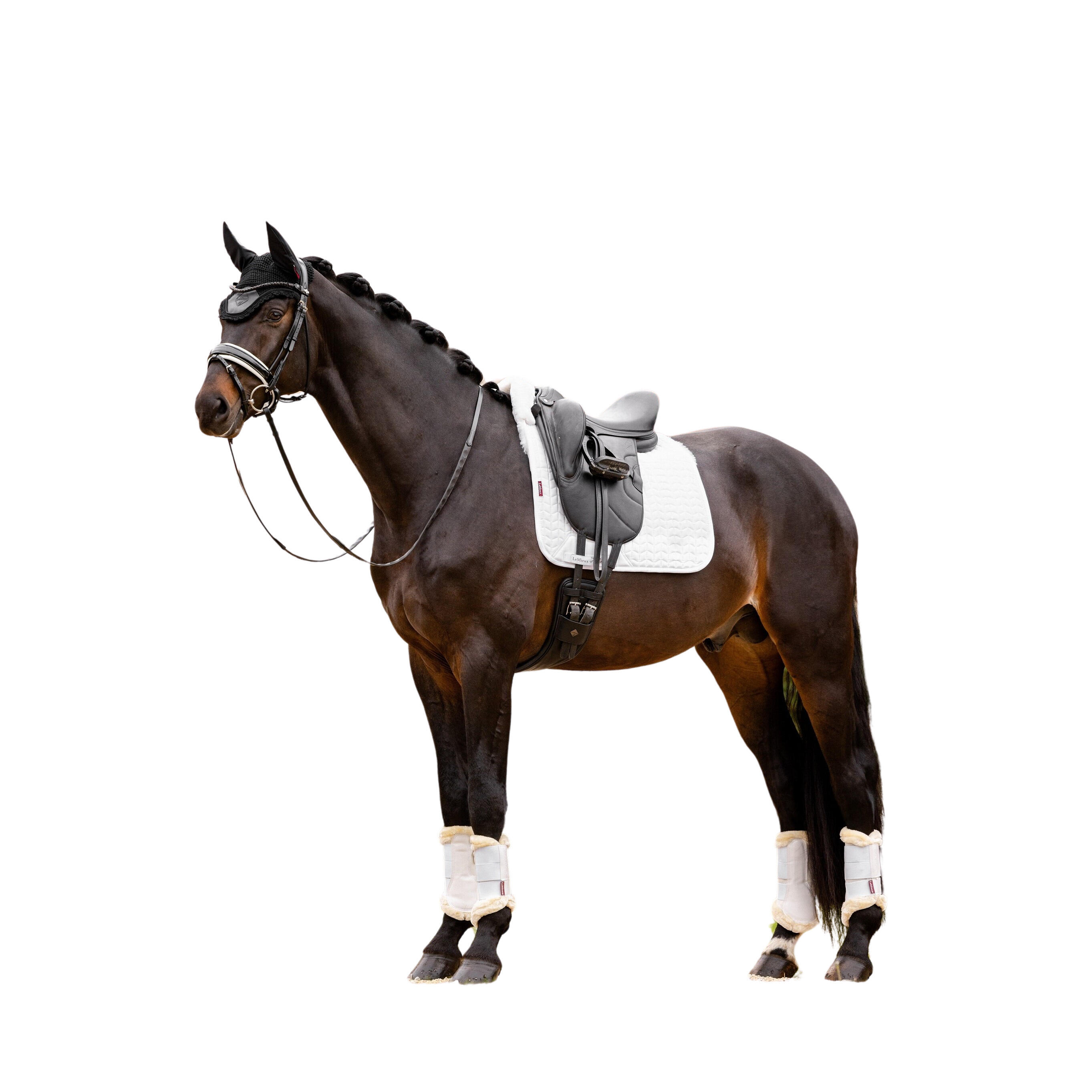 Dressuurmat voor paarden LeMieux Merino+ Square 2/3