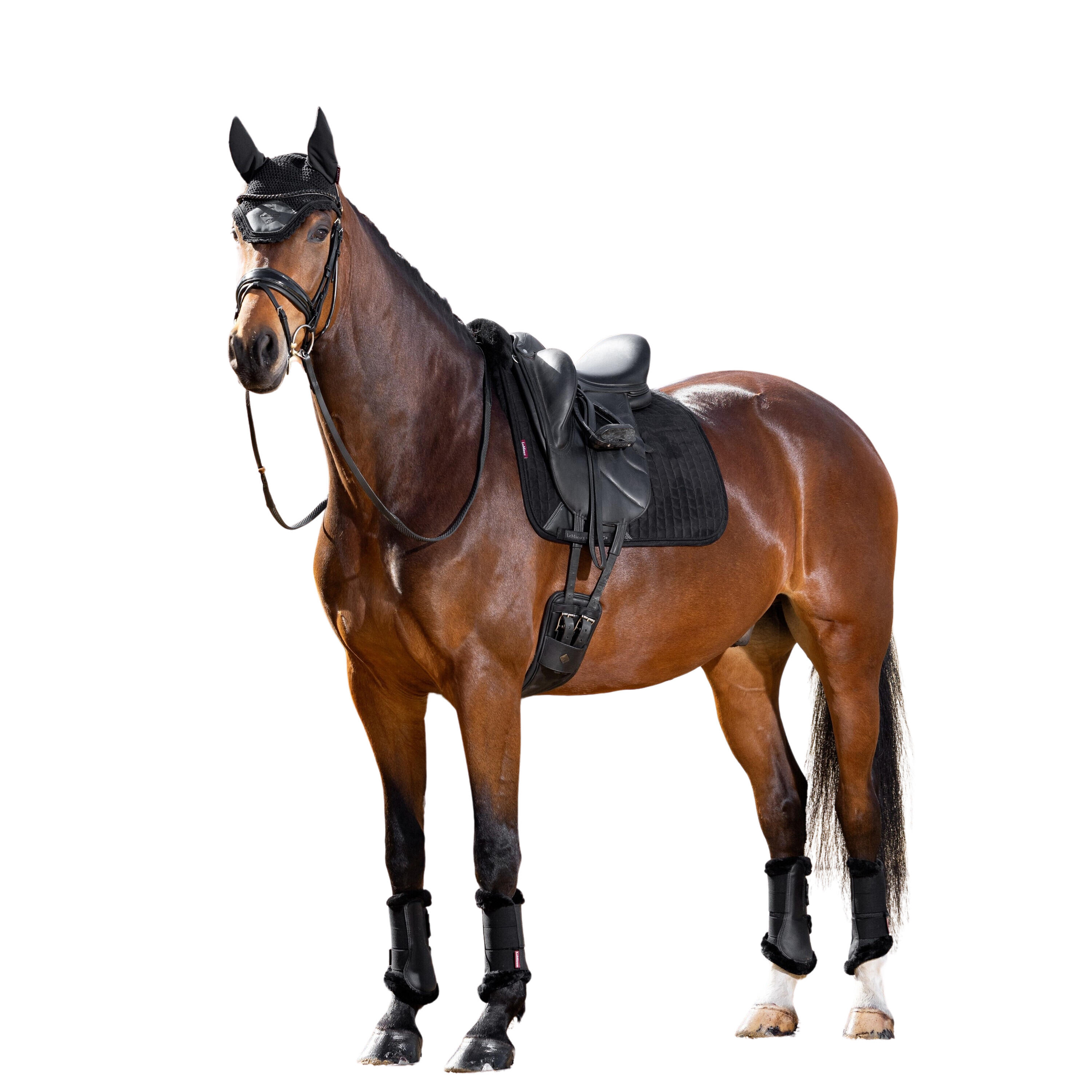 Dressuurmat voor paarden LeMieux Merino+ Square 2/2