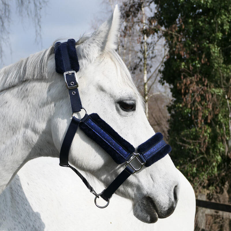 Cabestro para caballos Kavalkade Star 3/3