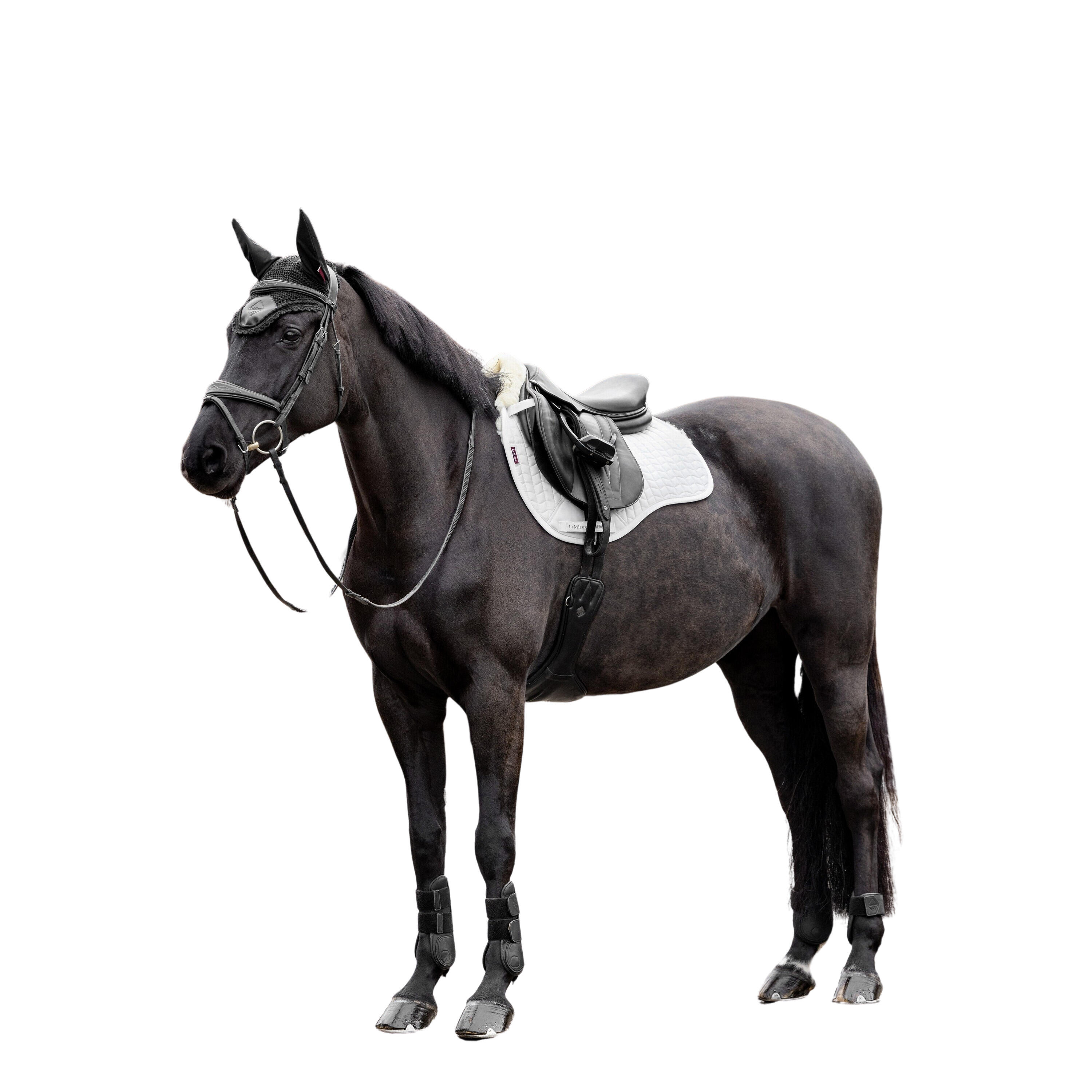 Zadeldek voor paarden LeMieux Merino+ GP Square 2/5