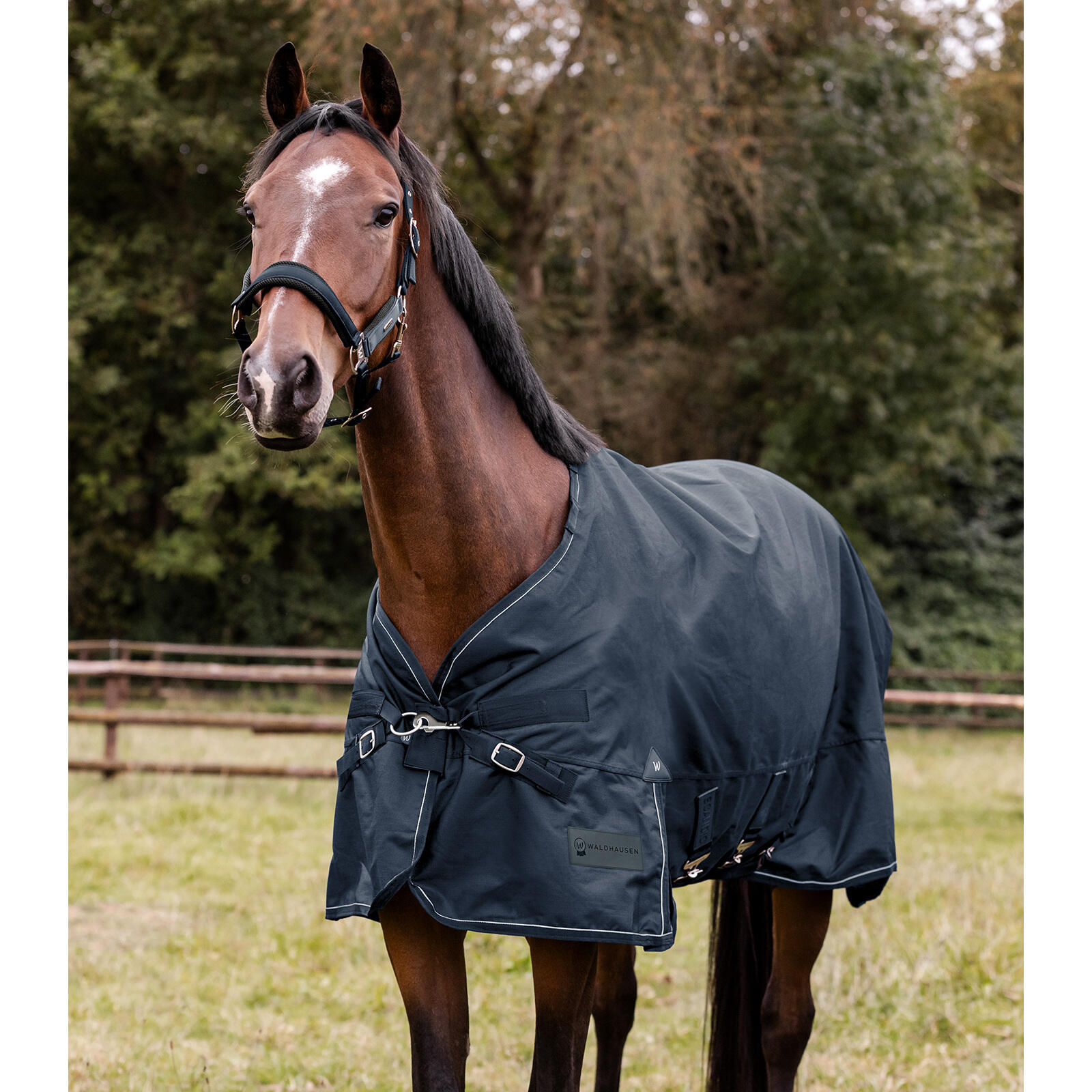 Sábana exterior multi-capa para caballo Waldhausen Scandic 250/100g 2/7
