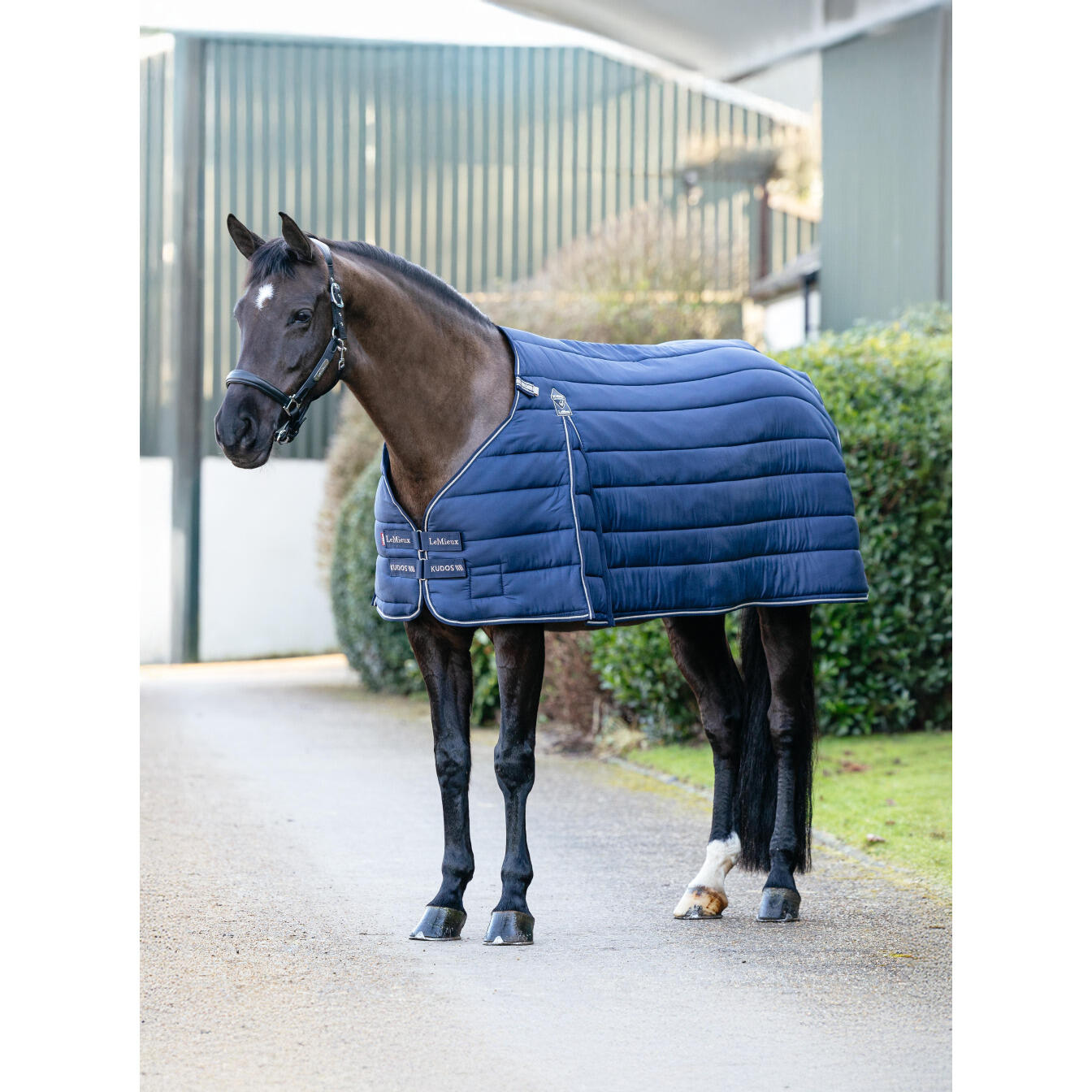 Undercover voor paarden LeMieux Kudos 200g 3/3