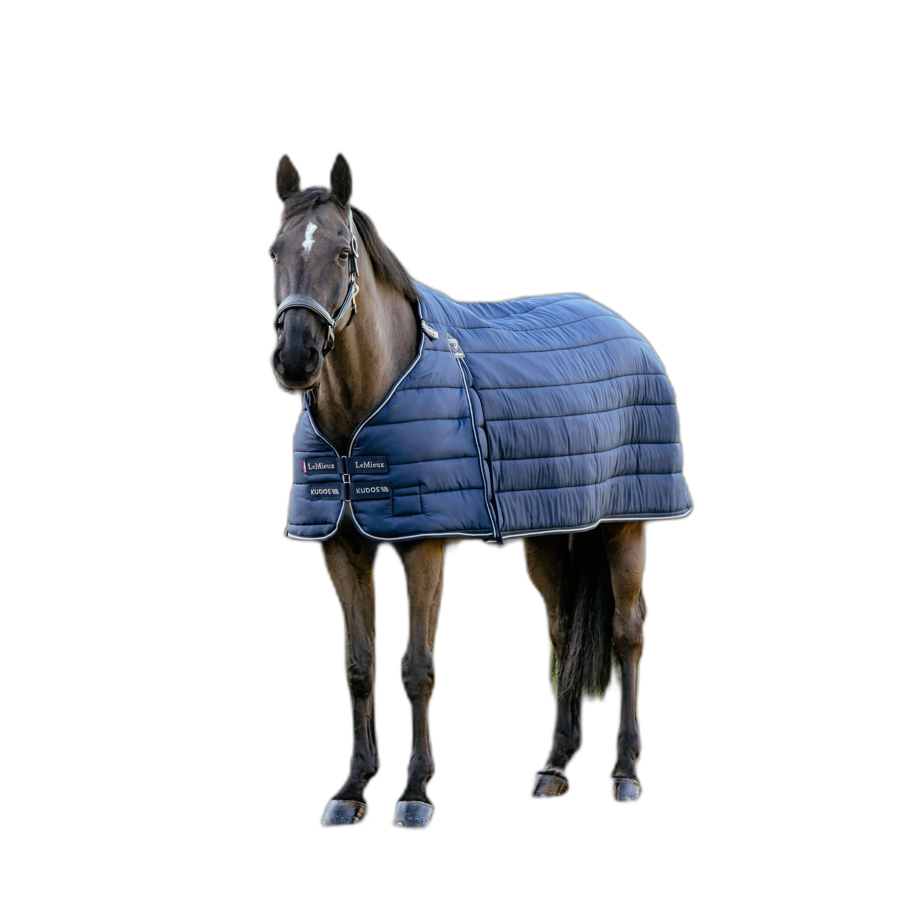Undercover voor paarden LeMieux Kudos 200g 2/3