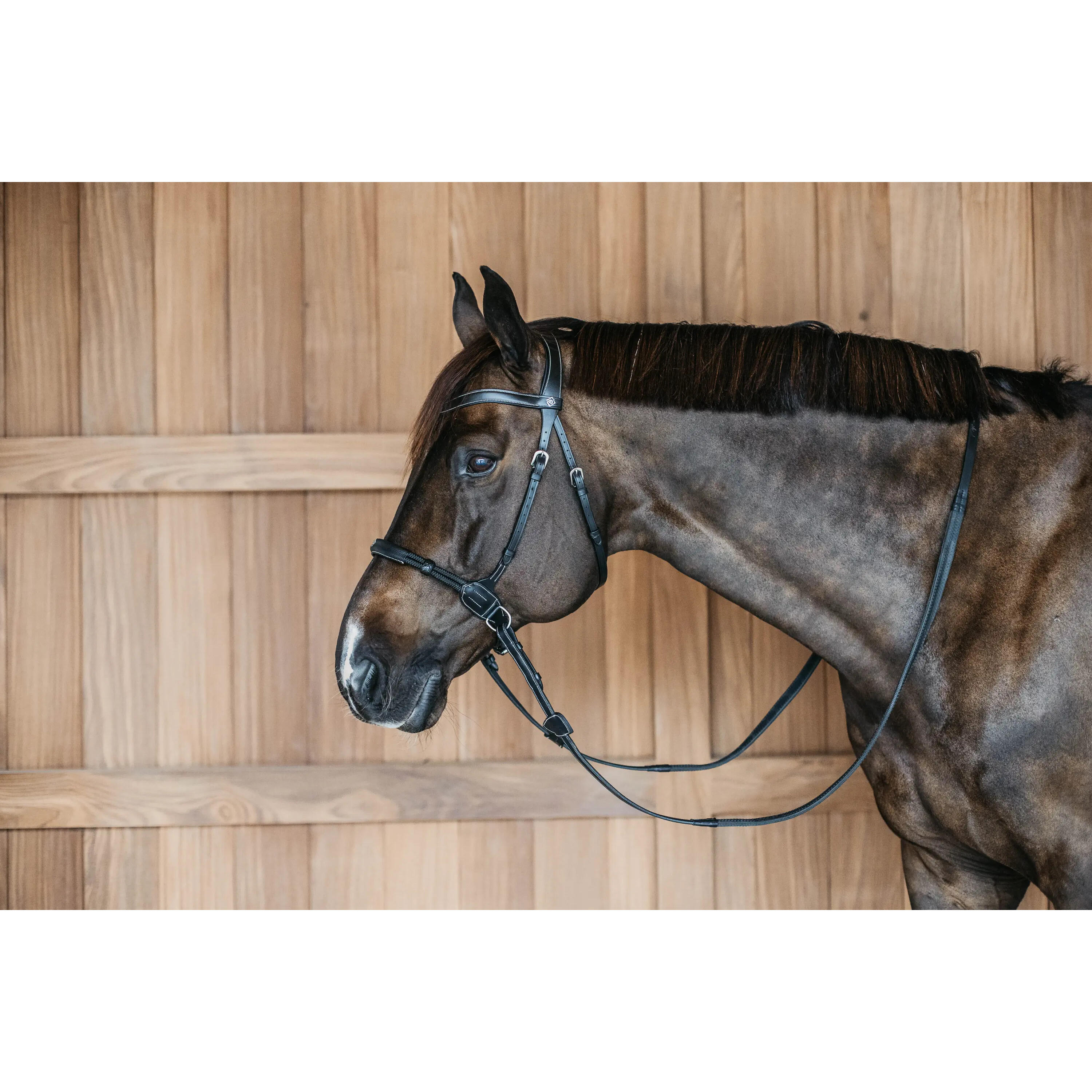 DY'ON Bitless bridles Dy'on