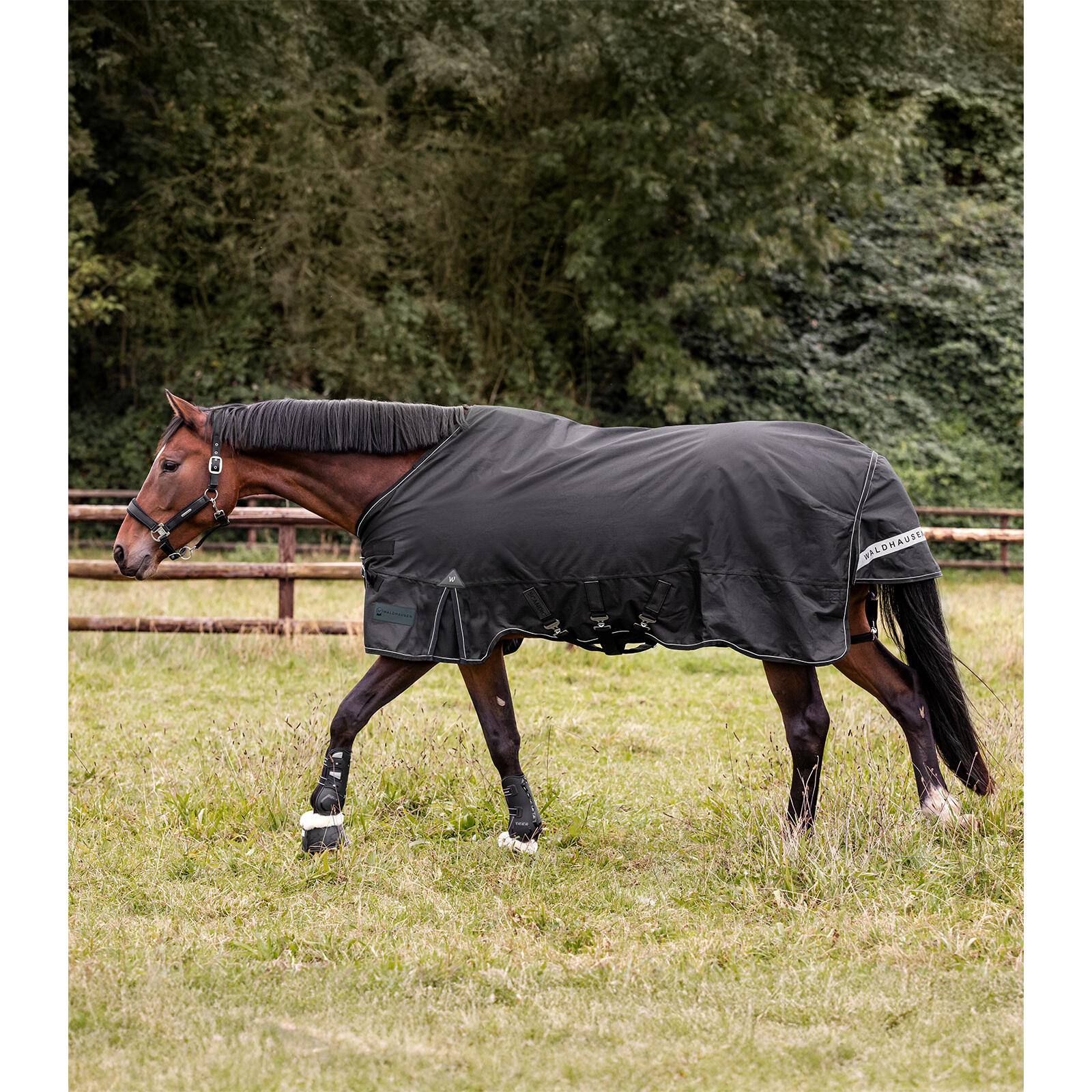 Sábana exterior multi-capa para caballo Waldhausen Scandic 150/50g 5/7