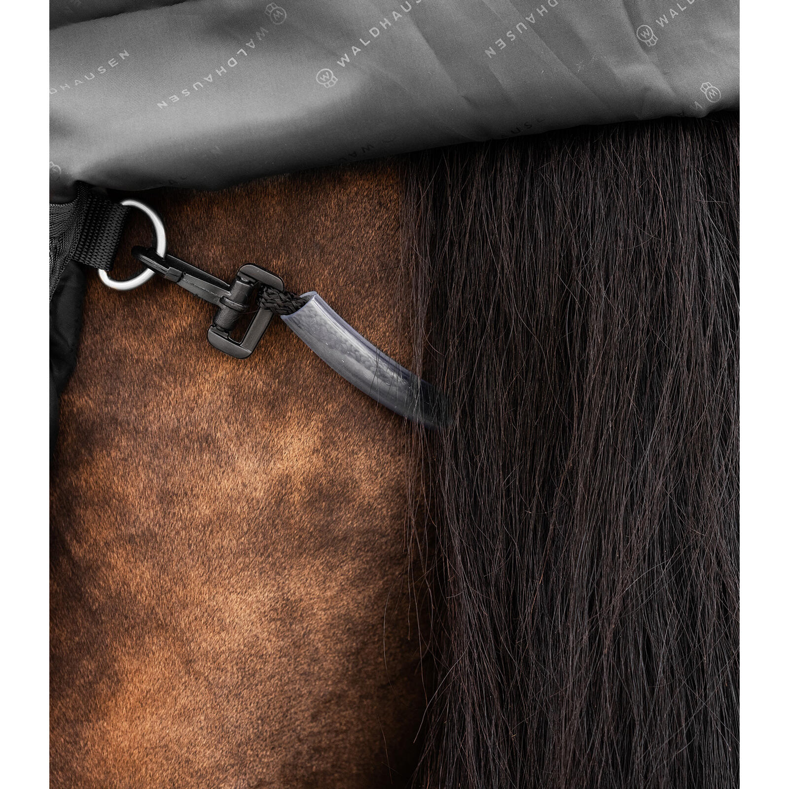 Sábana exterior multi-capa para caballo Waldhausen Scandic 150/50g 7/7