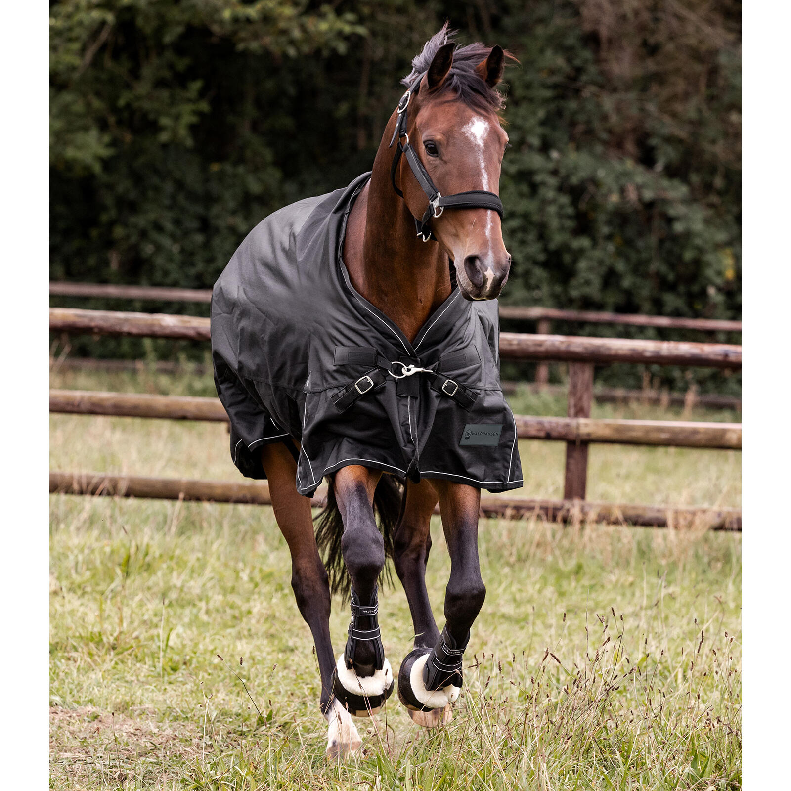 Sábana exterior multi-capa para caballo Waldhausen Scandic 250/100g 5/7